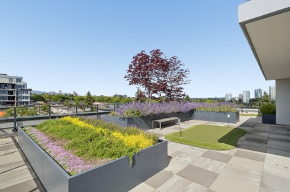 Photo 14 at 604 - 8398 Oak Street, Marpole, Vancouver West