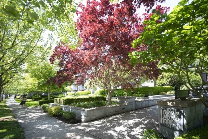 Photo 1 at 225 - 5777 Birney Avenue, University VW, Vancouver West