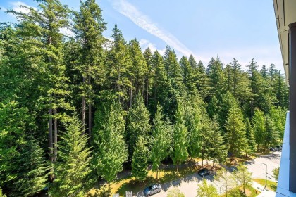 Photo 22 at 906 - 5629 Birney Avenue, University VW, Vancouver West