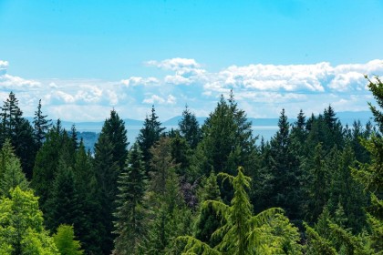 Photo 19 at 4895 Northwood Drive, Cypress Park Estates, West Vancouver