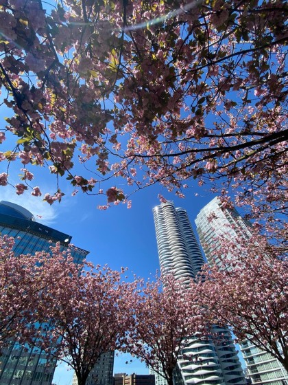 Photo 34 at 2205 - 938 Smithe Street, Downtown VW, Vancouver West