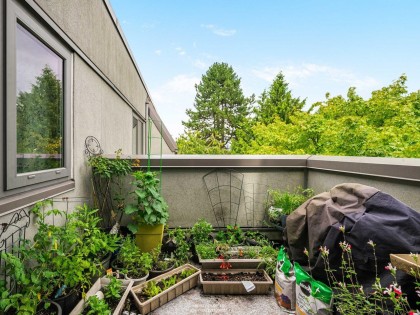 Photo 22 at 1330 W 7th Avenue, Vancouver West