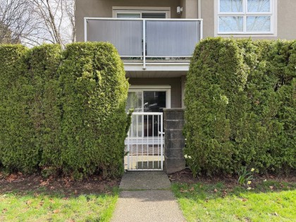 Photo 4 at 102 - 3008 Willow Street, Fairview VW, Vancouver West