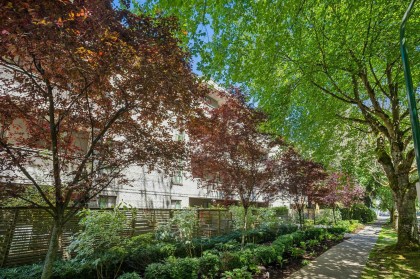 Photo 4 at 202 - 1867 W 3rd Avenue, Kitsilano, Vancouver West