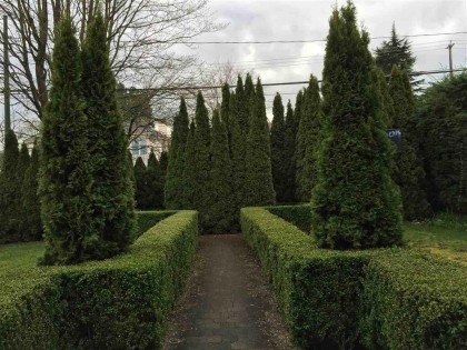 Photo 3 at 4633 W 4th Avenue, Point Grey, Vancouver West