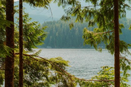 Photo 31 at 14 E Croker Island, Indian Arm, North Vancouver