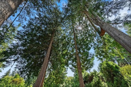 Photo 13 at 2976 Palmerston Avenue, Altamont, West Vancouver