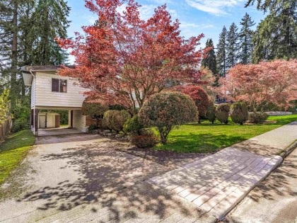 Photo 27 at 2553 Bendale Road, Blueridge NV, North Vancouver
