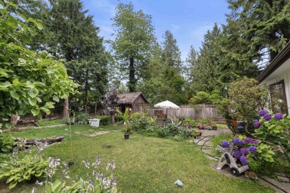 Photo 25 at 886 E 29th Street, Lynn Valley, North Vancouver