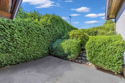 Photo 31 at 137 W Woodstock Avenue, Cambie, Vancouver West