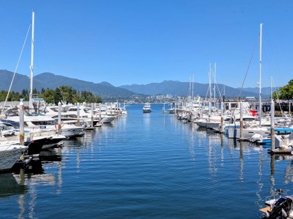 Photo 8 at 202 - 588 Broughton Street, Coal Harbour, Vancouver West