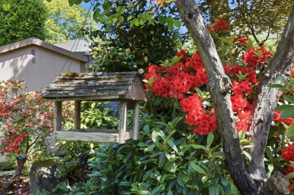 Photo 31 at 2727 W 36th Avenue, MacKenzie Heights, Vancouver West