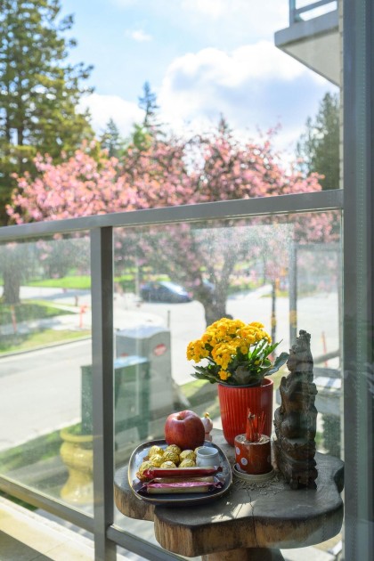 Photo 28 at 204 - 4675 Cambie Street, Cambie, Vancouver West