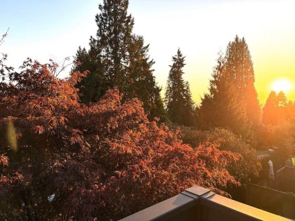 Photo 35 at 336 E 26th Street, Upper Lonsdale, North Vancouver