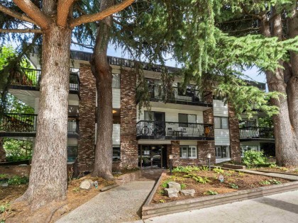 Photo 26 at 201 - 2330 Maple Street, Kitsilano, Vancouver West