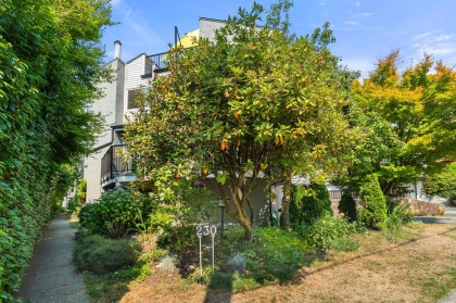 Photo 3 at 4 - 230 W 16th Street, Central Lonsdale, North Vancouver