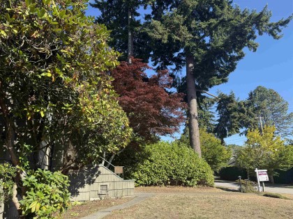 Photo 3 at 3441 W 35th Avenue, Dunbar, Vancouver West