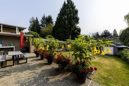 Photo 32 at 3466 Upton Road, Lynn Valley, North Vancouver