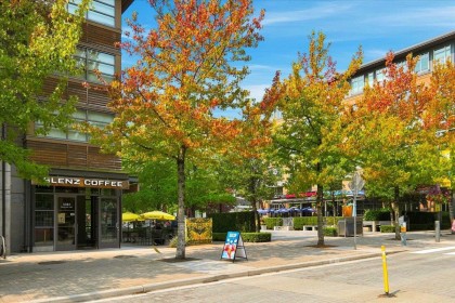 Photo 30 at 619 - 5955 Birney Avenue, University VW, Vancouver West