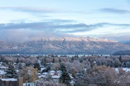 Photo 28 at 3936 Quesnel Drive, Arbutus, Vancouver West