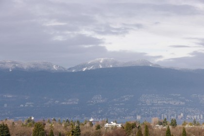 Photo 29 at 3936 Quesnel Drive, Arbutus, Vancouver West
