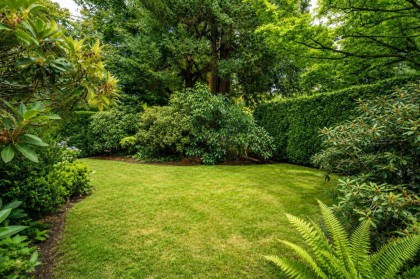 Photo 8 at 1903 W 14th Avenue, Kitsilano, Vancouver West