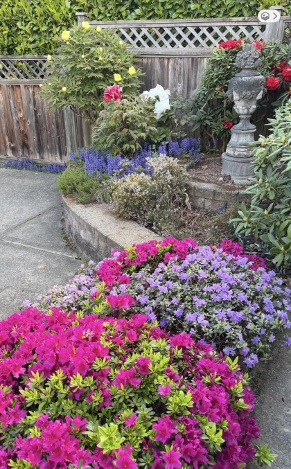 Photo 36 at 3262 W 12th Avenue, Kitsilano, Vancouver West