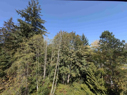 Photo 26 at 613 - 3596 Malsum Drive, Roche Point, North Vancouver