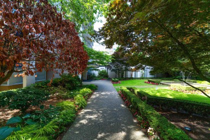 Photo 16 at 203 - 1850 Comox Street, West End VW, Vancouver West