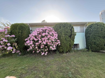 Photo 10 at 692 W 39th Avenue, Cambie, Vancouver West