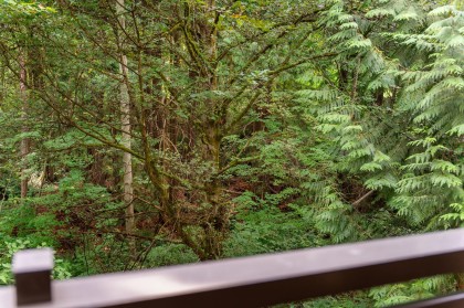 Photo 6 at 205 - 3294 Mt Seymour Parkway, Northlands, North Vancouver