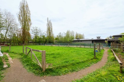 Photo 24 at 6822 Blenheim Street, Southlands, Vancouver West