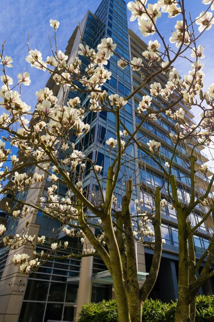 Photo 38 at 410 Beach Crescent, Yaletown, Vancouver West