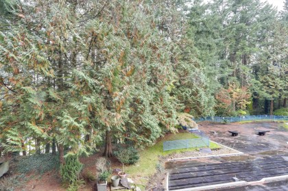 Photo 20 at 303 - 2004 Fullerton Avenue, Pemberton NV, North Vancouver