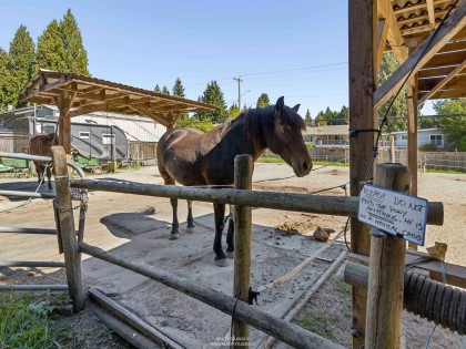 Photo 1 at 788 E 26th Street, Lynn Valley, North Vancouver