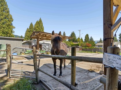 Photo 38 at 788 E 26th Street, Lynn Valley, North Vancouver