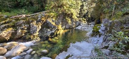 Photo 38 at 4440 Marion Road, Lynn Valley, North Vancouver