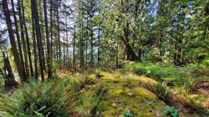 Photo 32 at Block A Farrer Cove, Indian Arm, North Vancouver