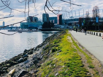 Photo 36 at 253 - 108 W 1st Avenue, False Creek, Vancouver West