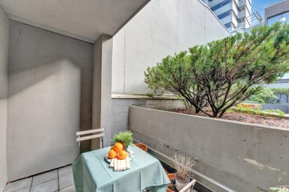 Photo 31 at 101 - 2412 Alder Street, Fairview VW, Vancouver West