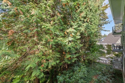Photo 25 at 208 - 3151 Connaught Crescent, Edgemont, North Vancouver
