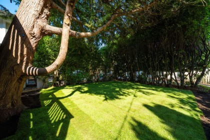 Photo 34 at 2280 Blenheim Street, Kitsilano, Vancouver West