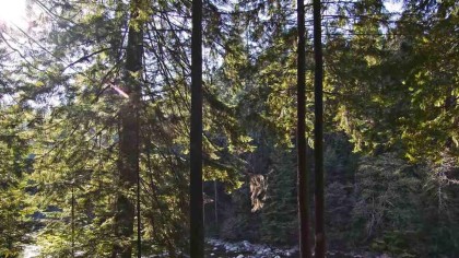 Photo 6 at 2101 Riverside Drive, Seymour NV, North Vancouver