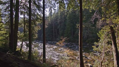 Photo 4 at 2101 Riverside Drive, Seymour NV, North Vancouver