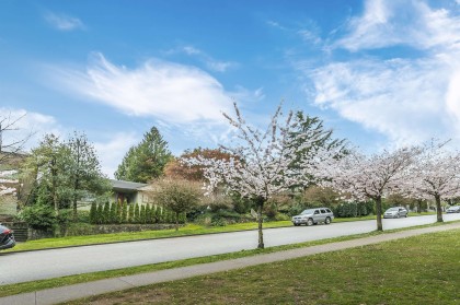Photo 22 at 14 W 37th Avenue, Cambie, Vancouver West