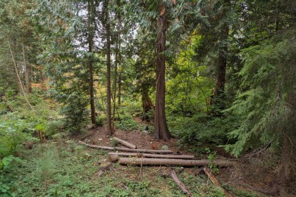 Photo 24 at 208 - 2375 Emery Court, Lynn Valley, North Vancouver
