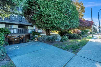 Photo 37 at 205 - 1610 Chesterfield Avenue, Central Lonsdale, North Vancouver