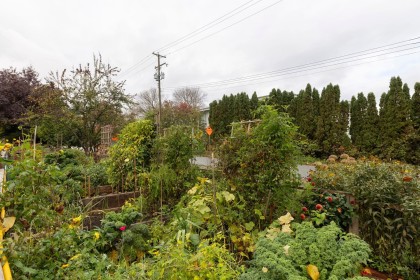 Photo 36 at 115 - 1890 W 6th Avenue, Kitsilano, Vancouver West