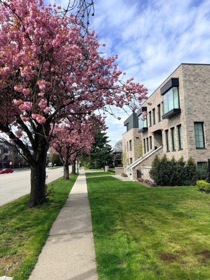 Photo 13 at 101 - 157 W King Edward Avenue, Cambie, Vancouver West